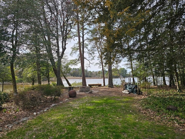 10388 Highland Ct, Exmore, VA 23350 - view of yard featuring a water view