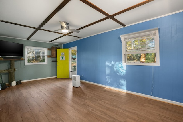 10388 Highland Ct, Exmore, VA 23350 - interior space with wood finished floors, plenty of natural light, a ceiling fan, and baseboards
