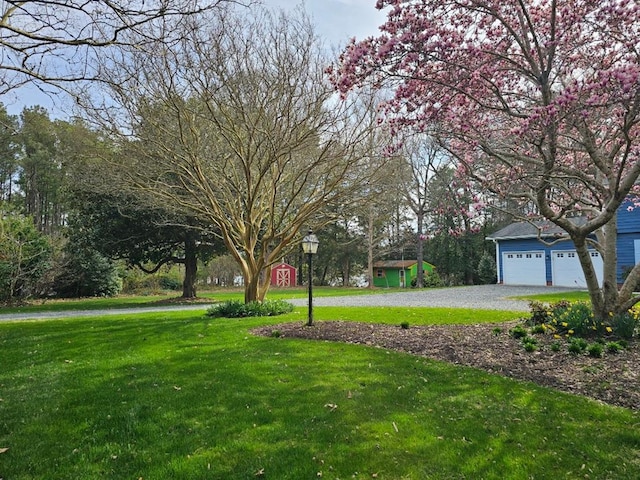 10388 Highland Ct, Exmore, VA 23350 - view of yard