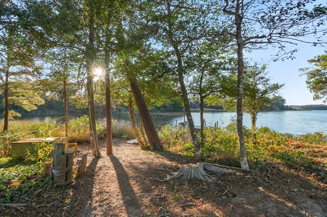 view of yard featuring a water view