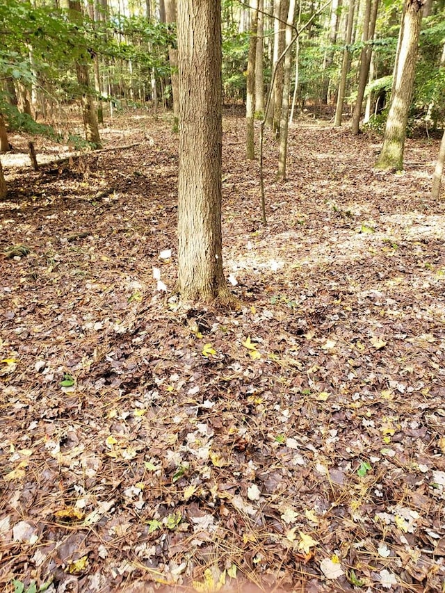 LOT41 Saxis Rd Unit 41, Temperanceville, VA 23442 - photo 4