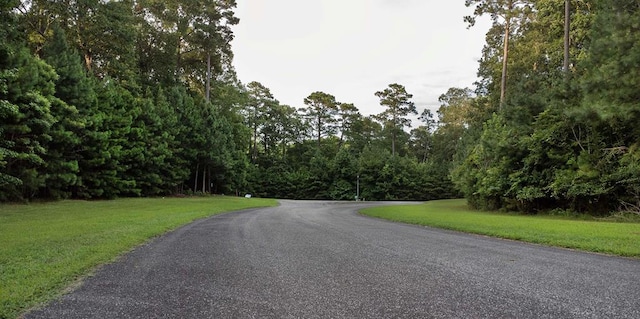 LOT65 Indigo Ln Unit 65, Horntown, VA 23395 - photo 6