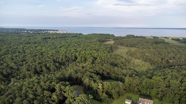 LOT65 Indigo Ln Unit 65, Horntown, VA 23395 - photo 3