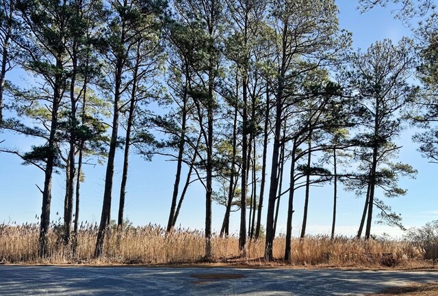 LOT720 Castaway Dr Unit 720, Greenbackville, VA 23356 - photo 5