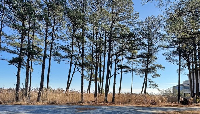 LOT720 Castaway Dr Unit 720, Greenbackville, VA 23356 - photo 6