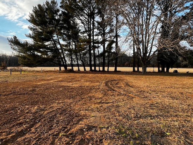 view of yard featuring a rural view