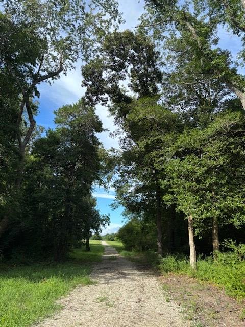 8T Hungars Pt Unit 8T, Machipongo, VA 23405