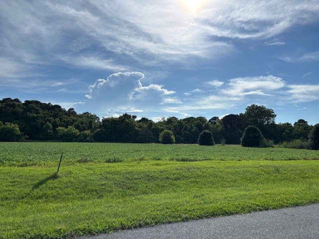 8T Hungars Pt Unit 8T, Machipongo, VA 23405