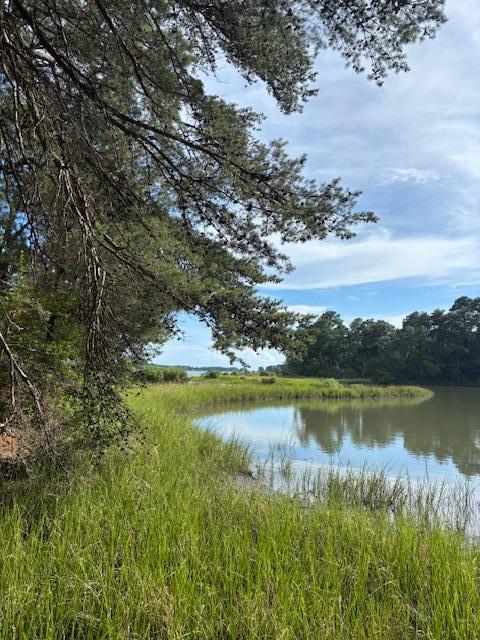 8T Hungars Pt Unit 8T, Machipongo, VA 23405