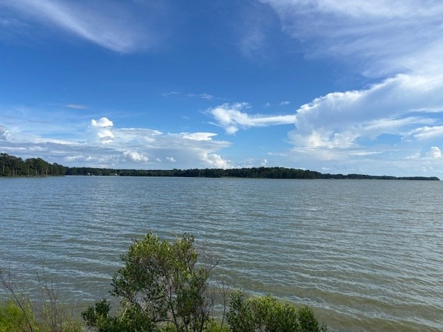 8T Hungars Pt Unit 8T, Machipongo, VA 23405