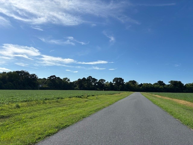 8T Hungars Pt Unit 8T, Machipongo, VA 23405