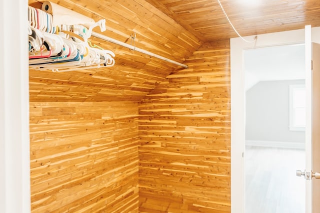 spacious closet with lofted ceiling