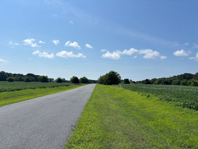 7T Hungars Pt Unit 7T, Machipongo, VA 23405 - photo 4