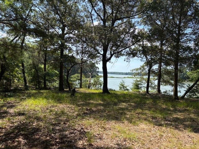 7T Hungars Pt Unit 7T, Machipongo, VA 23405 - photo 10