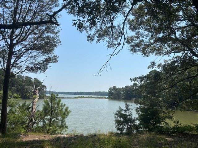 7T Hungars Pt Unit 7T, Machipongo, VA 23405 - photo 1