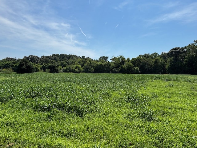 7T Hungars Pt Unit 7T, Machipongo, VA 23405 - photo 6