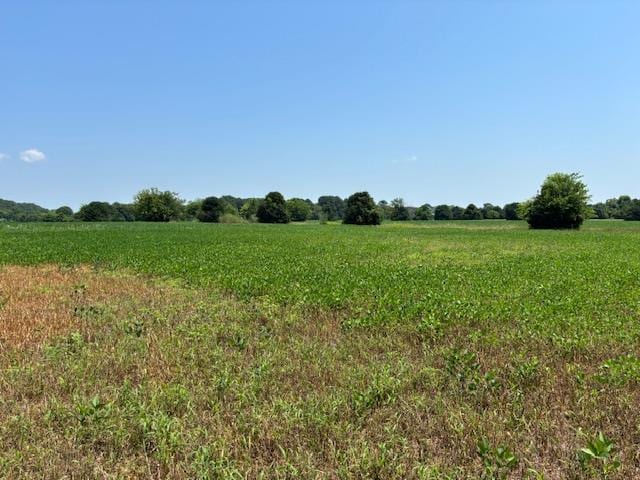7T Hungars Pt Unit 7T, Machipongo, VA 23405 - photo 13
