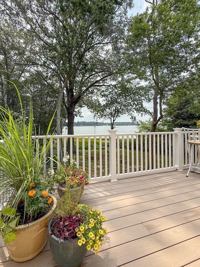 5334 Chesawadox Dr, Exmore, VA 23350 - photo 15