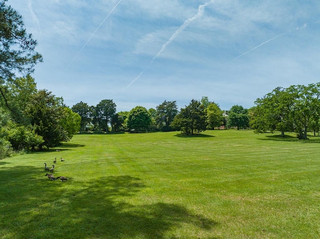 13485 Wharton Dr, Hallwood, VA 23359 - photo 44