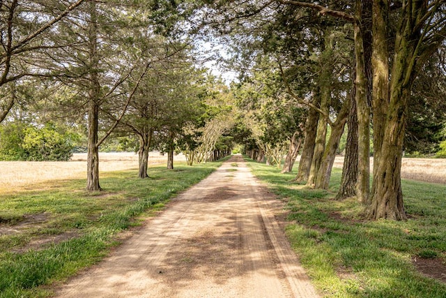 view of road