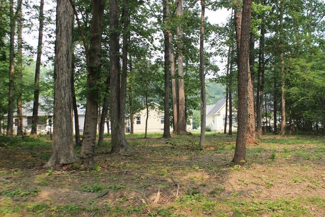 1988 Mayflower Dr Unit 1988, Greenbackville, VA 23356 - photo 1