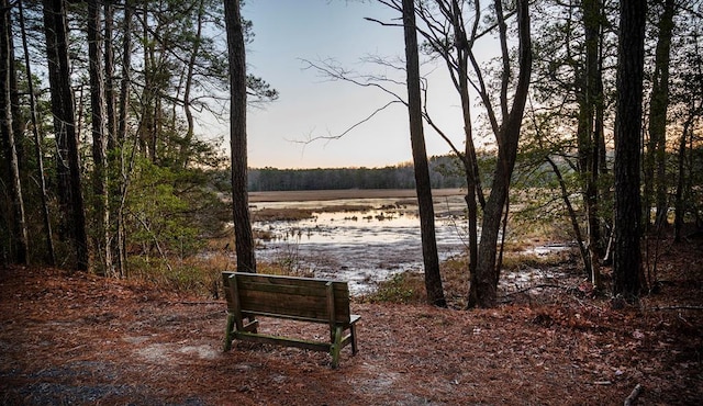 LOT289 Navigator Dr Unit 289, Greenbackville, VA 23356 - photo 13
