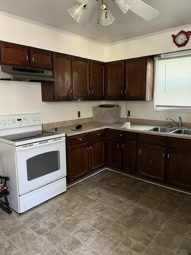 8489 Neal Parker Rd, Temperanceville, VA 23442 - photo 3