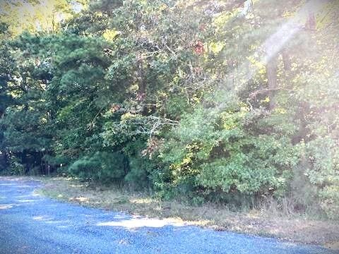 LOT9 Octopus Unit 9, Greenbackville VA, 23356 land for sale