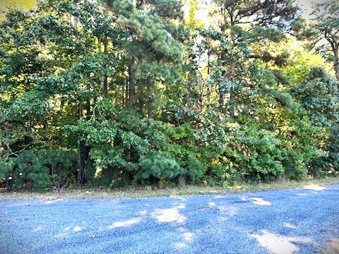 Listing photo 2 for LOT9 Octopus Unit 9, Greenbackville VA 23356