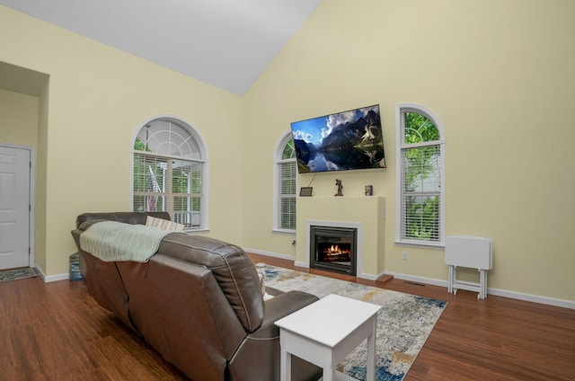 37323 Davey Jones Blvd, Greenbackville, VA 23356 - living area featuring high vaulted ceiling, wood finished floors, a lit fireplace, and baseboards