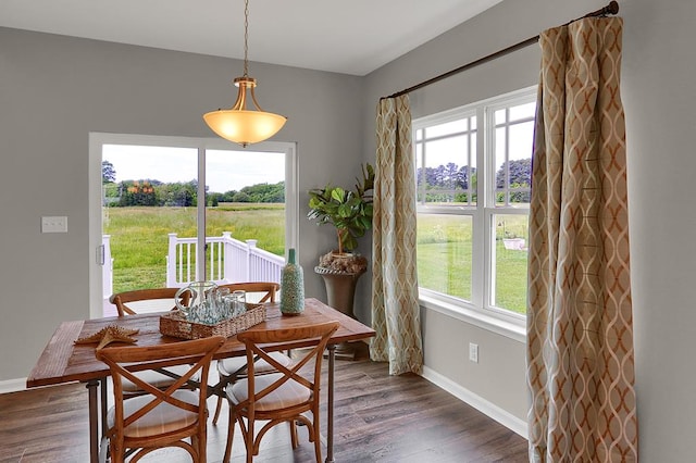 dining space with dark hardwood / wood-style flooring and plenty of natural light