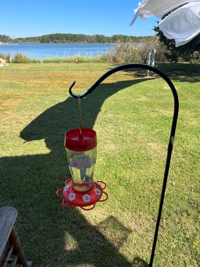 view of yard featuring a water view