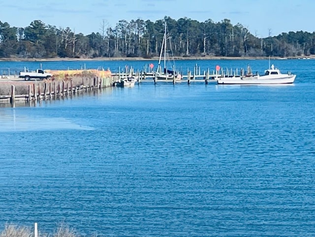 water view with a dock