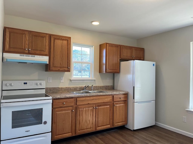 kitchen featuring dark hardwood / wood-style flooring, white appliances, and sink