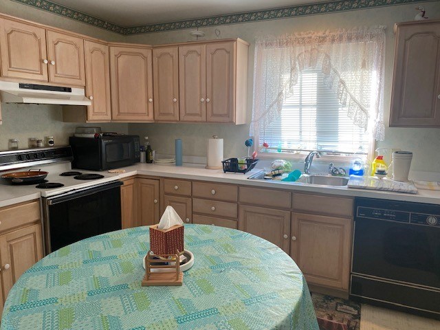 4116 Ruby St, Chincoteague, VA 23336 - photo 3