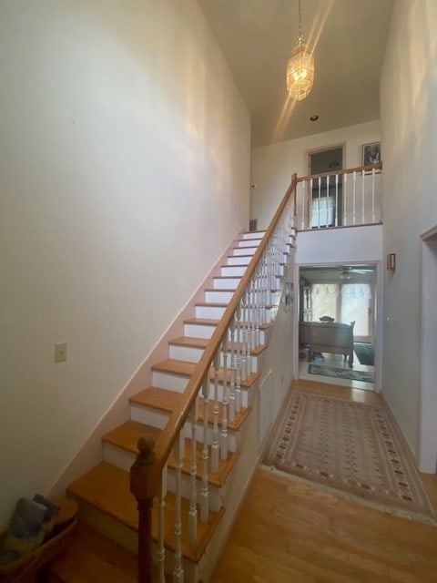 staircase with wood-type flooring and a high ceiling