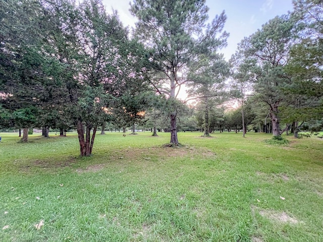 LotB Holly Bluff Drive B, Franktown, VA 23354 - photo 11