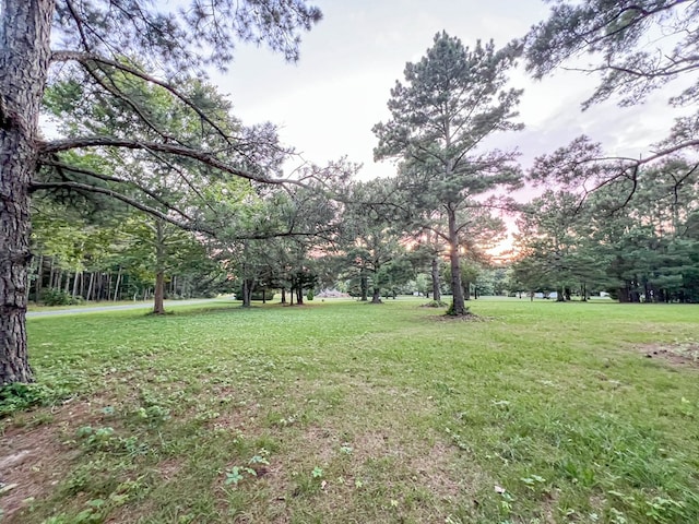 LotB Holly Bluff Drive B, Franktown, VA 23354 - photo 7