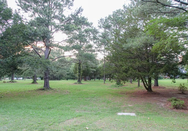 LotB Holly Bluff Drive B, Franktown, VA 23354 - photo 6