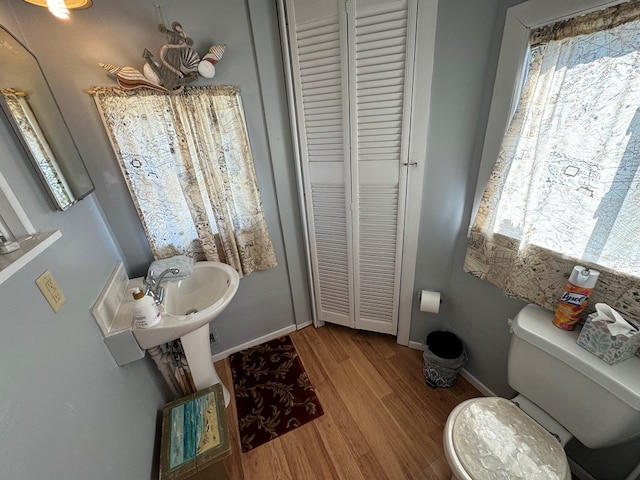 bathroom with sink, wood-type flooring, and toilet