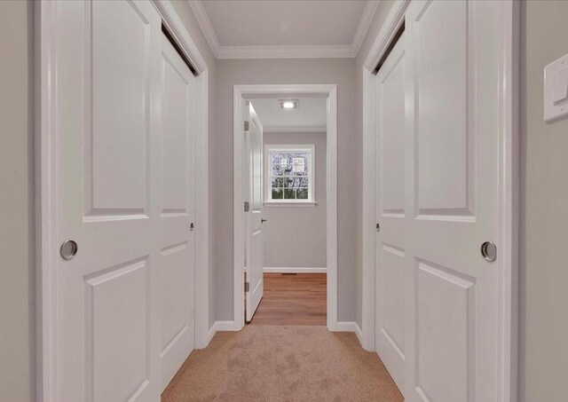 LOT2427 Brigantine Blvd, Greenbackville, VA 23356 - photo 24