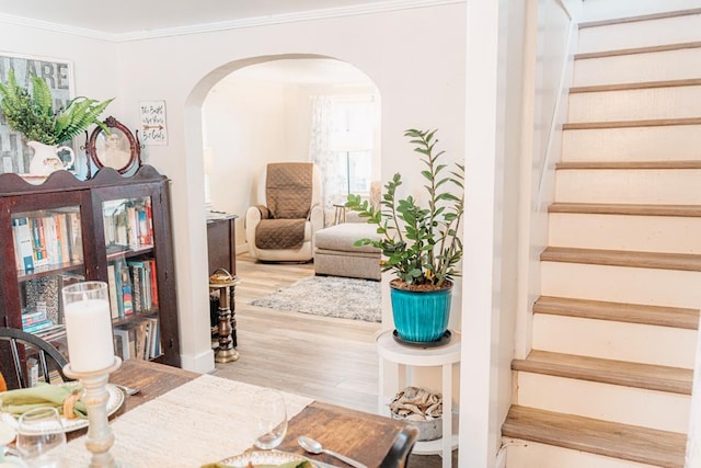 interior space with light hardwood / wood-style floors and crown molding