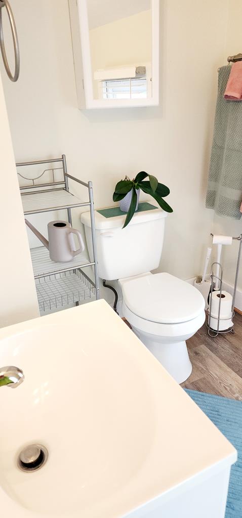 bathroom with hardwood / wood-style flooring and toilet