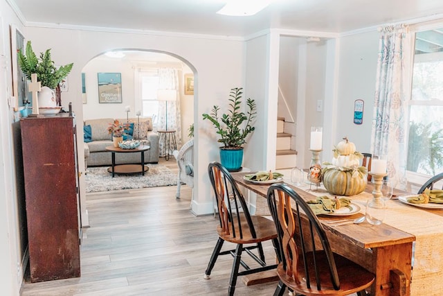 dining room featuring crown molding, plenty of natural light, and light wood-type flooring