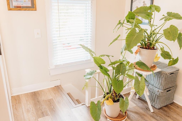 details with hardwood / wood-style flooring