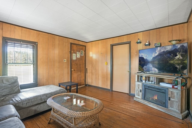 living area with wooden walls, wood finished floors, and a glass covered fireplace