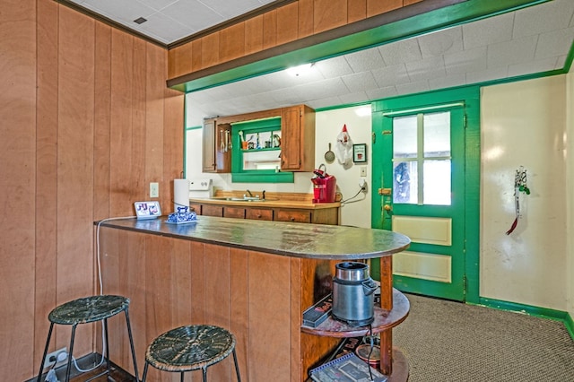 bar featuring carpet flooring, wood walls, and a sink