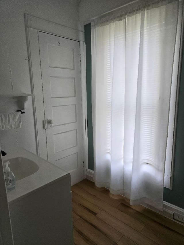 bathroom with vanity and hardwood / wood-style flooring