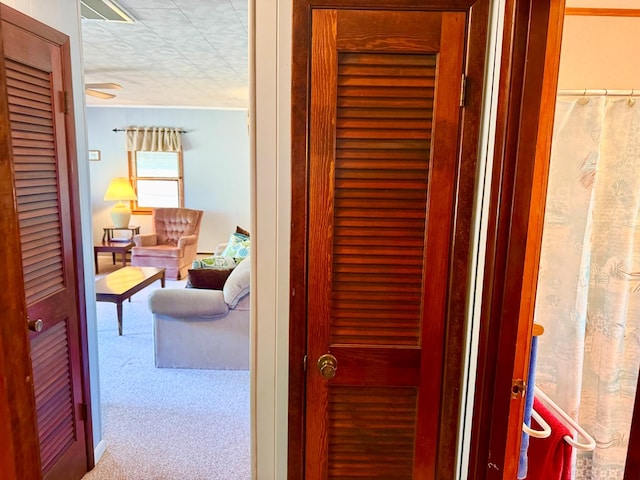 3434 Willow St, Chincoteague, VA 23336 - hallway with carpet