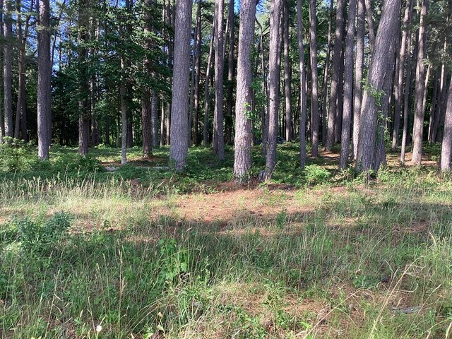 A6B White Tail Ln Unit A6B, Machipongo, VA 23405 - photo 35